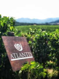 Cantina Atlantis Vernot Spumante 0,75L
