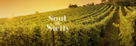 Feudo Luparello moscato passito di noto 2022 0,50L