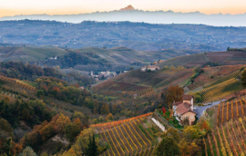 Rizieri Dolcetto Di Diano D'Alba DOCG 2020