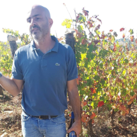 La Fralluca Filemone Vermentino 2023