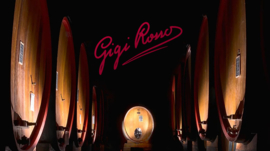 Gigi Rosso Nebbiolo D'Alba Superiore DOC 2018