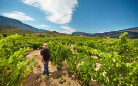 Cantina Berritta Thurcalesu Cannonau di Sardegna DOC 2022