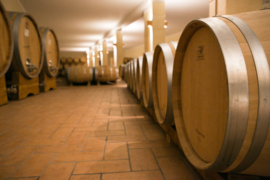 Provolo Campotorbian Ripasso Superiore 2018 Magnum 1,5L