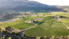 Cantina Berritta Marinu Cannonau di Sardegna rosé DOC 2025