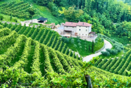 Divigna  Mondaresca Extra Dry DOCG 2025