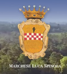 Luca spinola Gavi comune di Gavi Carlo DOCG 2024