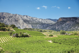 Cantina Berritta Marinu Cannonau di Sardegna rosé DOC 2025