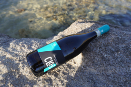 Cantina Atlantis Clos Vermentino di Gallura Superiore DOCG 2020