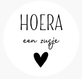 Hoera een zusje (10stuks)