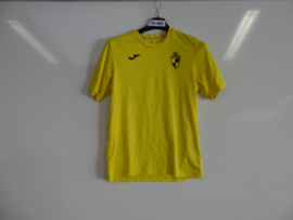 TK-0488 Shirt MASITA Lierse