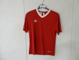 TK-1198 Shirt Adidas