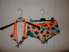 ZW-0143 Bikini