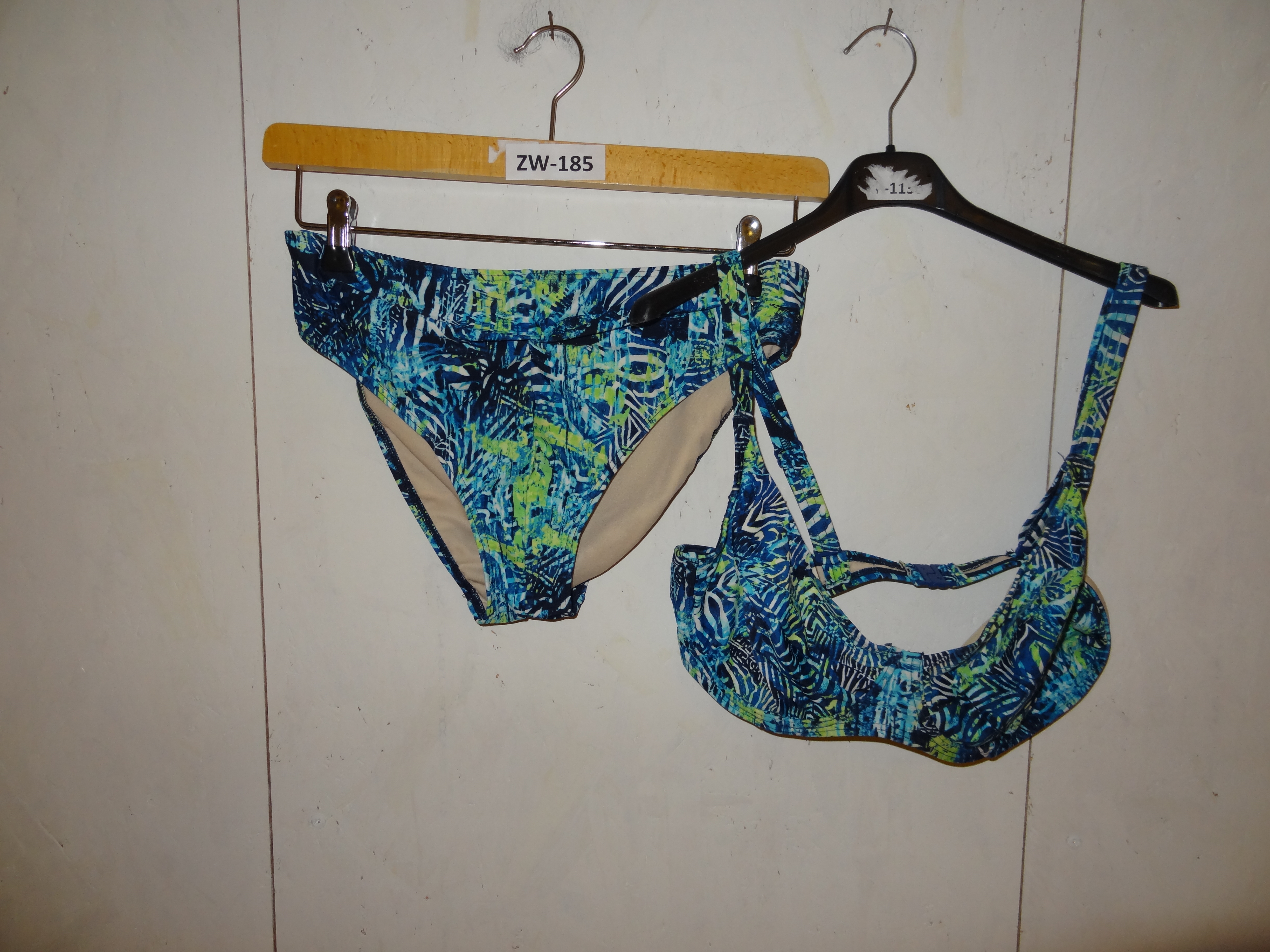 ZW-0185 Bikini