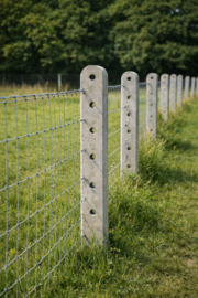 Beton weidepaal – 9×9 cm – 200 cm