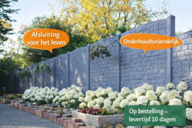 Betonplaat Romania 199 x 38,5 x 3,2 cm