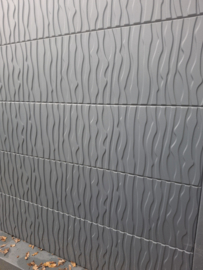 "Betonplaat Zebra 199 x 38,5 x 3,2 cm – Perfect voor Moderne Tuinen"