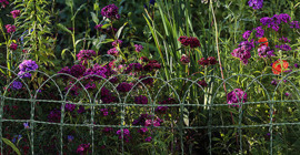 "Decoratieve Gebogen Tuindraad – 40 cm | 10m Rol | Ideaal voor Borders & Perken"