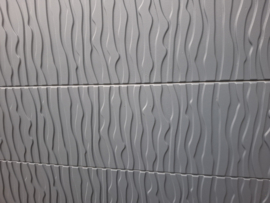 "Betonplaat Zebra 199 x 38,5 x 3,2 cm – Perfect voor Moderne Tuinen"