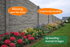 Betonplaat Casa 199 x 38,5 x 3,2 cm