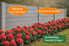 Betonplaat Timber 199 x 38,5 x 3,2 cm