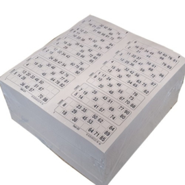 100 kienboekjes 12 ronden dubbel