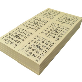 Bingobladen dubbel 500 vel per pak