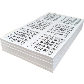 Bingobladen dubbel 500 vel per pak