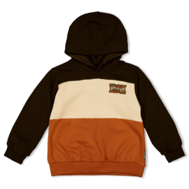 Sturdy hoodie bruin