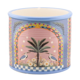 Bloempot palm bird large