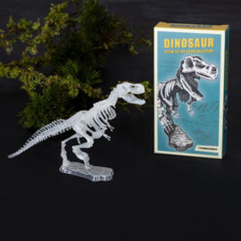 Rex London DIY dinosaurus glow in the dark skelet tyrannosaurus