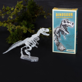 DIY dinosaurus glow in the dark skelet tyrannosaurus