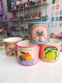 Bloempot palm tiger large