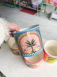 Bloempot palm bird large