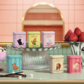 Leone pastilles in blikje labrador cherry