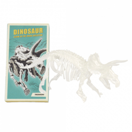 DIY dinosaurus glow in the dark skelet triceratops