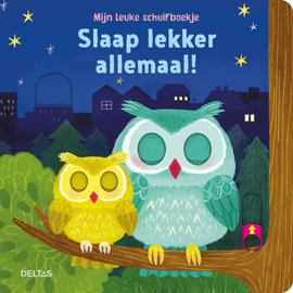 Boek: Mijn leuke schuifboekje, slaap lekker allemaal!