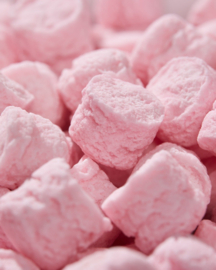 Leone pastilles in blikje labrador cherry