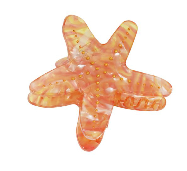 Haarklem zeester
