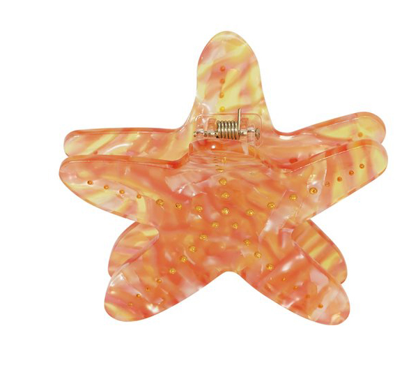 Haarklem zeester