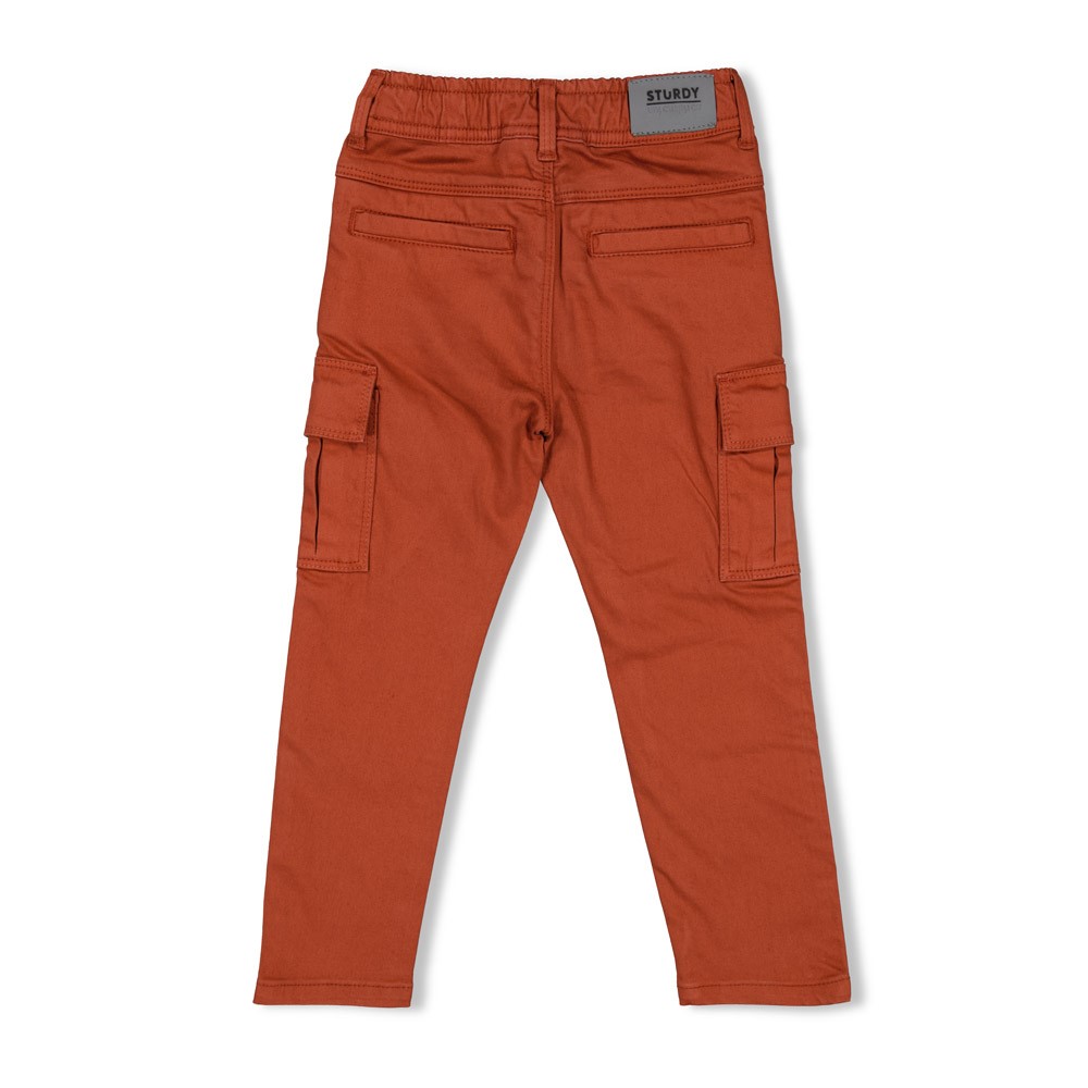 Sturdy Cargo Broek Chasing Trails