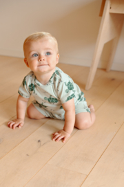 Timmy Turtle - Premium Summerwear