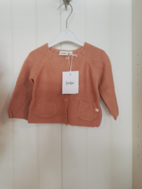 Feetje vest