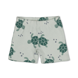 Timmy Turtle - Premium Summerwear