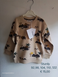 Sturdy Trui