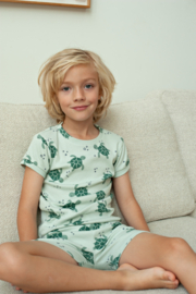 Timmy Turtle - Premium Summerwear