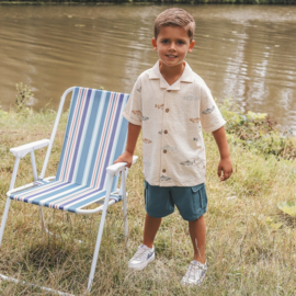 Solid - Cargo Shorts Dragonfly