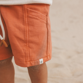 Garment Dye Relaxed Shorts Ginger