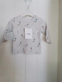 Feetje Longsleeve Grey Melange