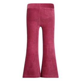 jubel Flared Broek Velors rib Violet