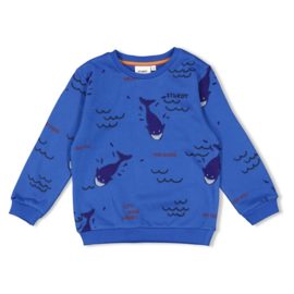 Sturdy sweater AOP  Aqua